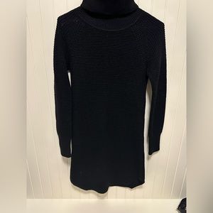 Aritizia Wilfred Turtleneck Dress